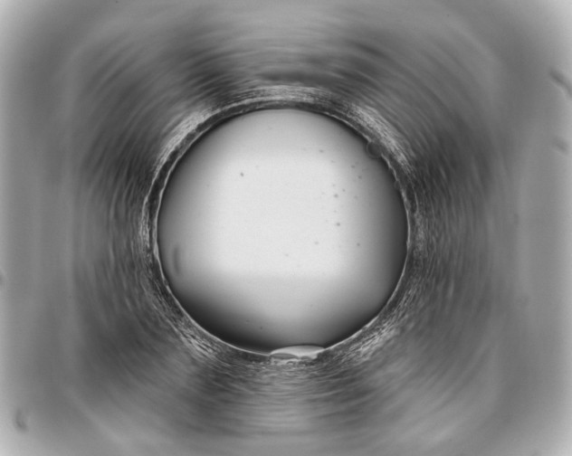 X0000096990883200802221455