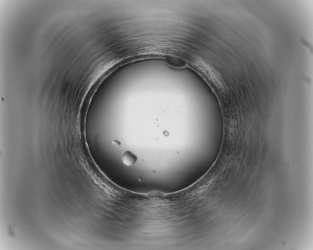 X0000096990884200802221455