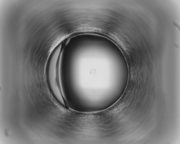 X0000096990885200802221455