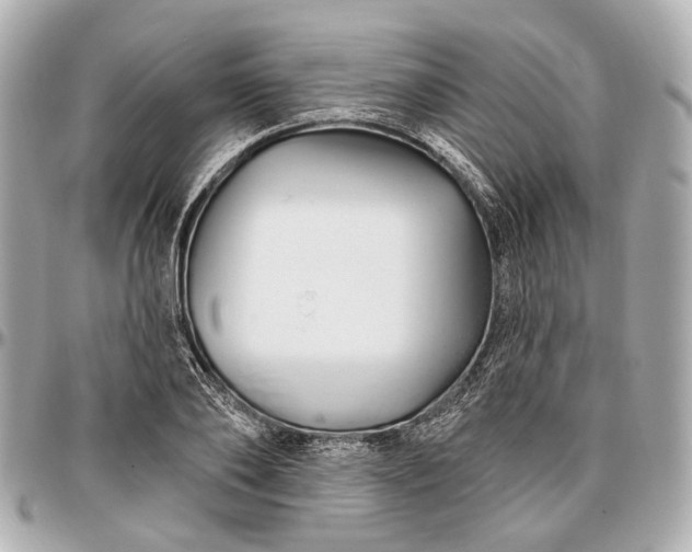 X0000096990886200802221455