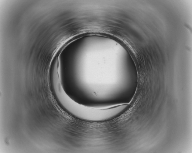 X0000096990887200802221455