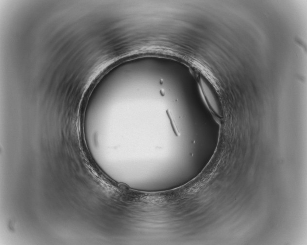 X0000096990888200802221455