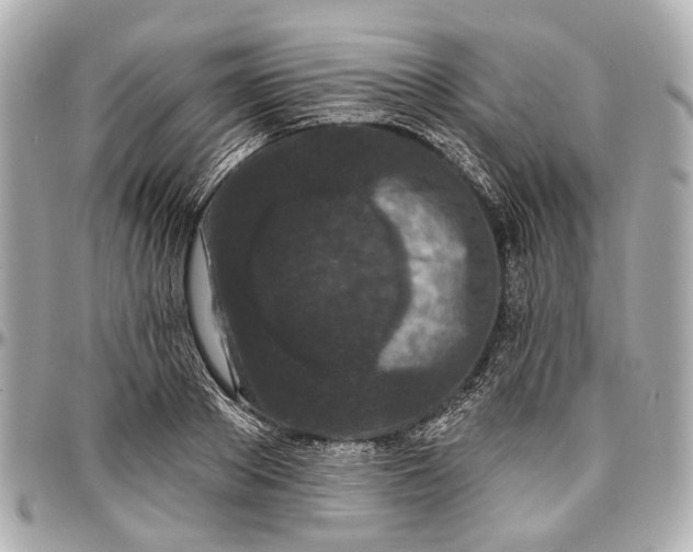 X0000096990889200802221455