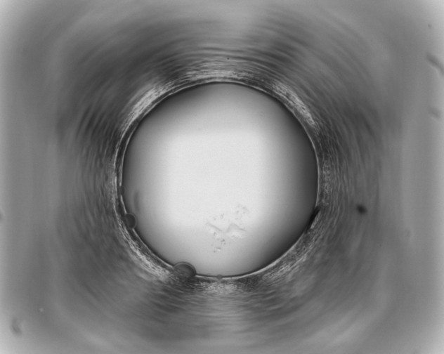 X0000096990890200802221455