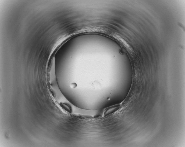 X0000096990894200802221455