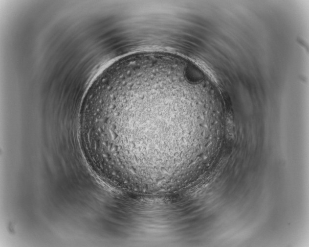 X0000096990895200802221455