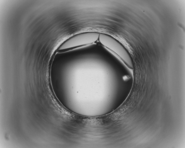 X0000096990896200802221455