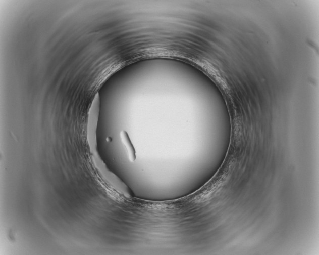 X0000096990897200802221455