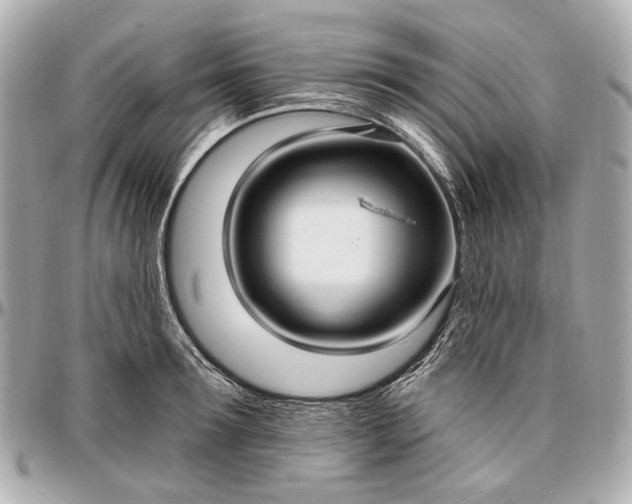 X0000096990899200802221455