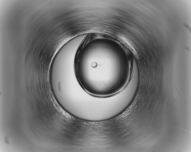 X0000096990900200802221455