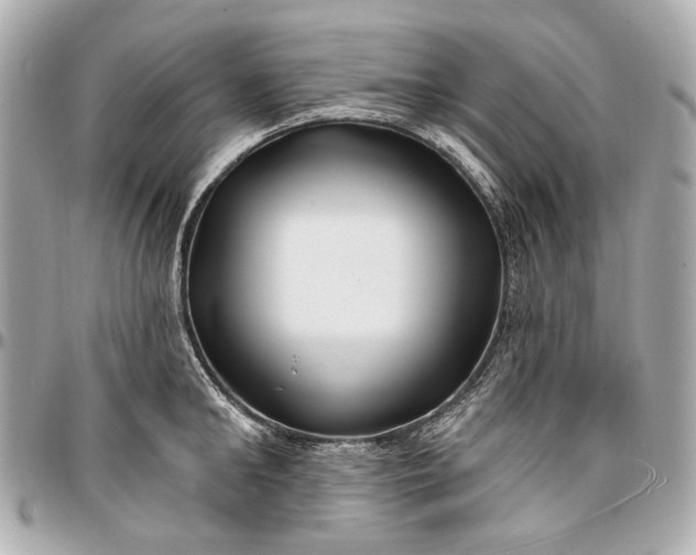 X0000096990902200802221455