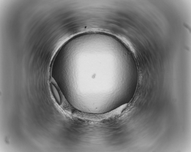 X0000096990903200802221455