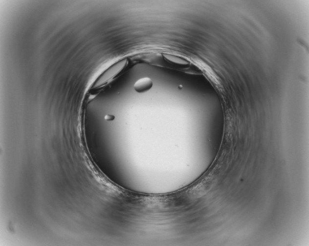 X0000096990904200802221454