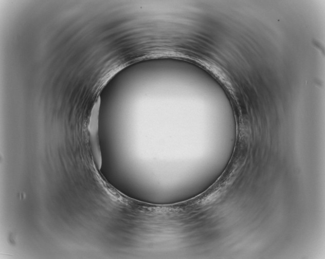 X0000096990905200802221454