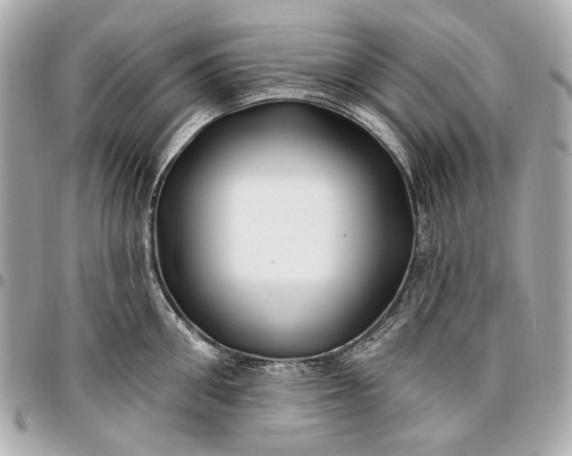 X0000096990906200802221454