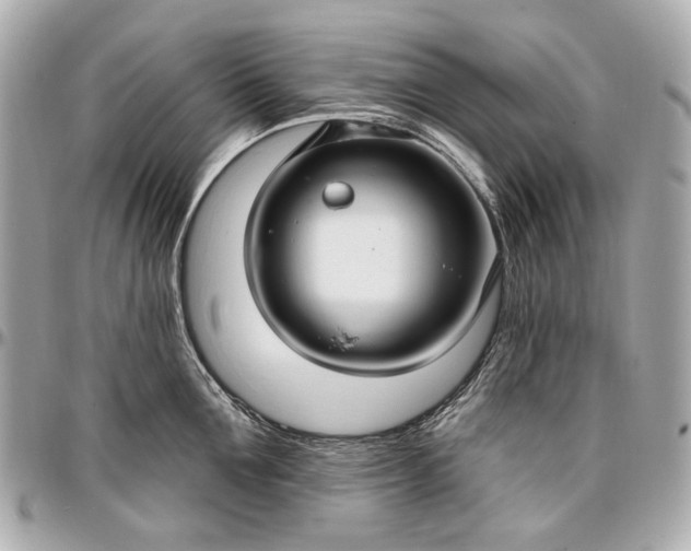 X0000096990907200802221454