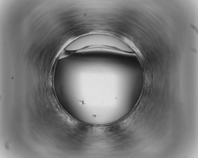 X0000096990908200802221454