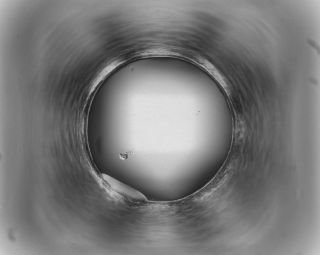 X0000096990909200802221454