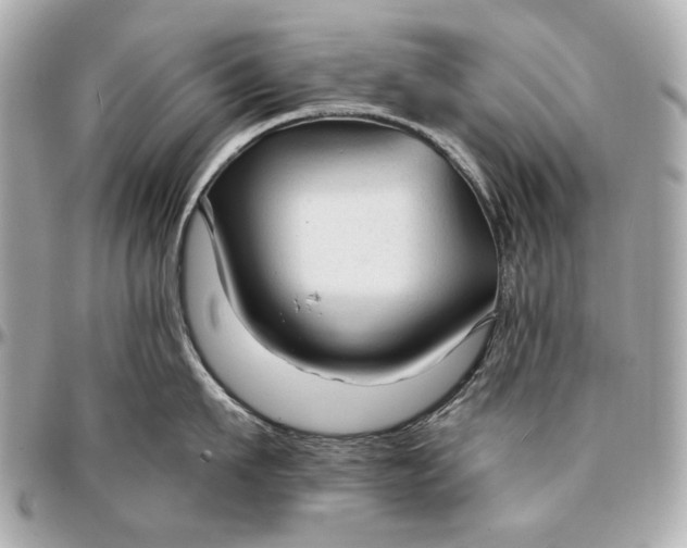 X0000096990911200802221454