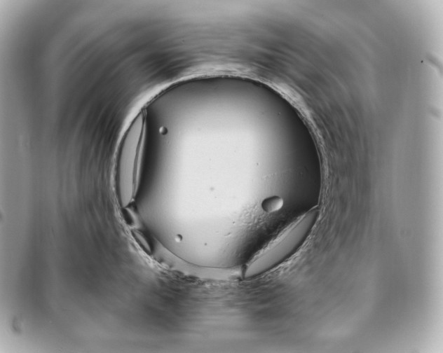 X0000096990912200802221454