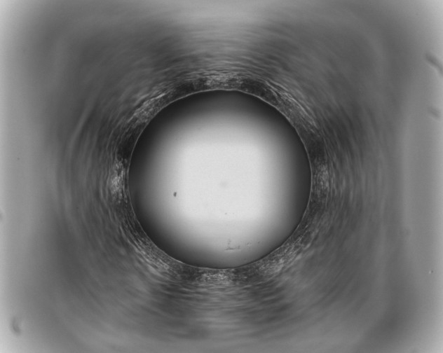 X0000096990914200802221454