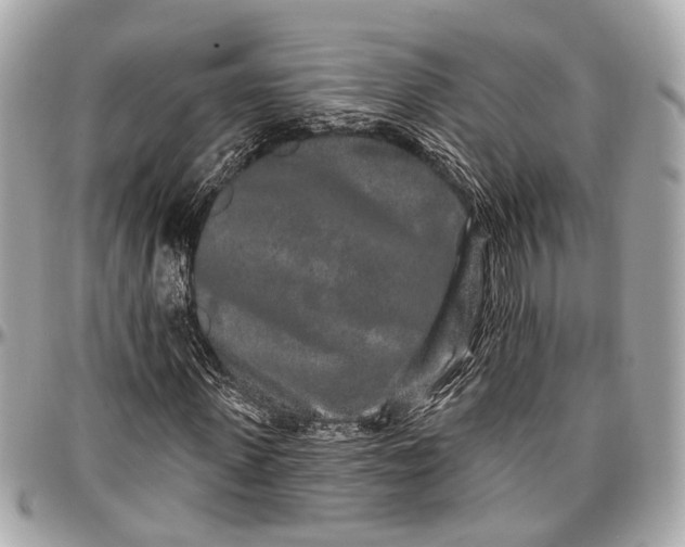 X0000096990915200802221454