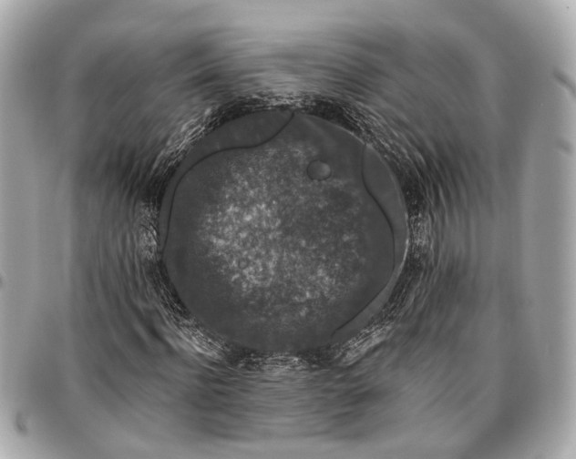 X0000096990916200802221454