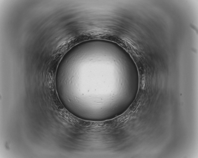 X0000096990917200802221454