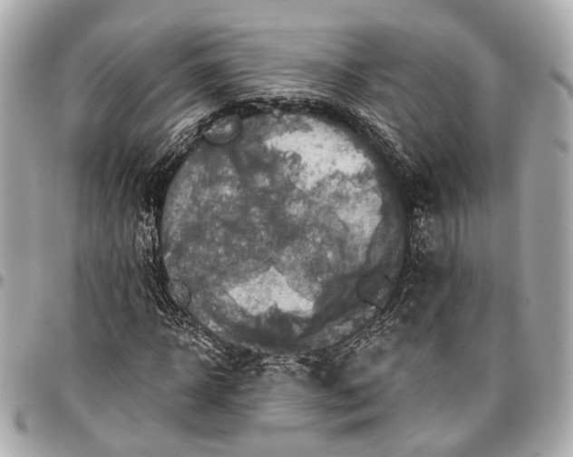 X0000096990918200802221454