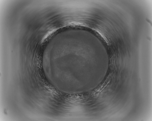 X0000096990919200802221454