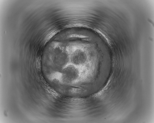 X0000096990921200802221454