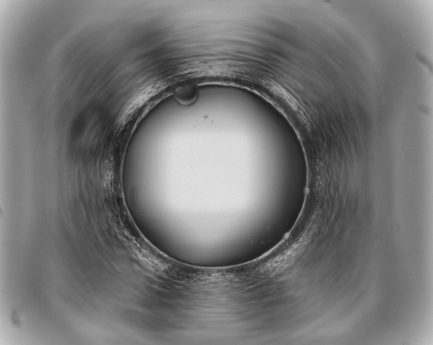 X0000096990922200802221454