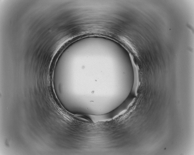 X0000096990924200802221454