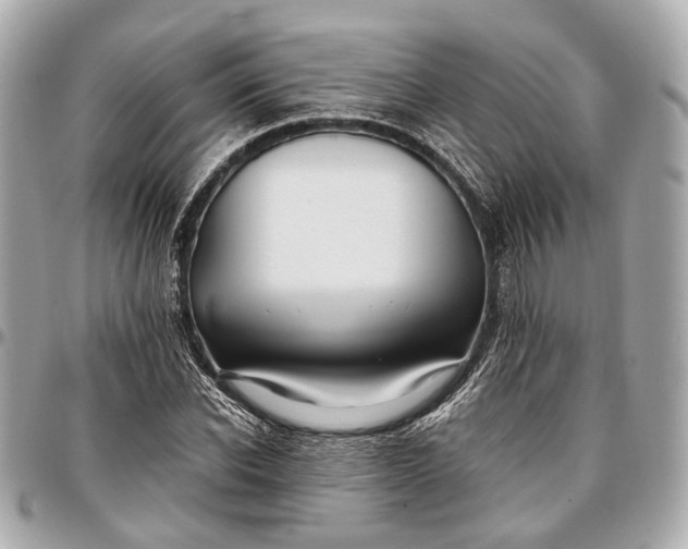 X0000096990926200802221454