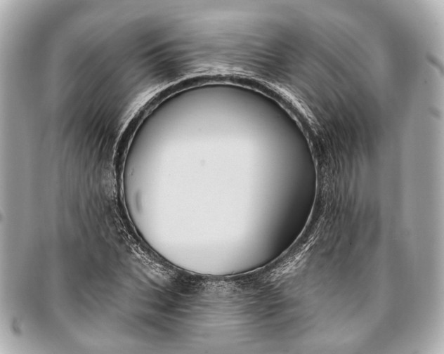 X0000096990927200802221454