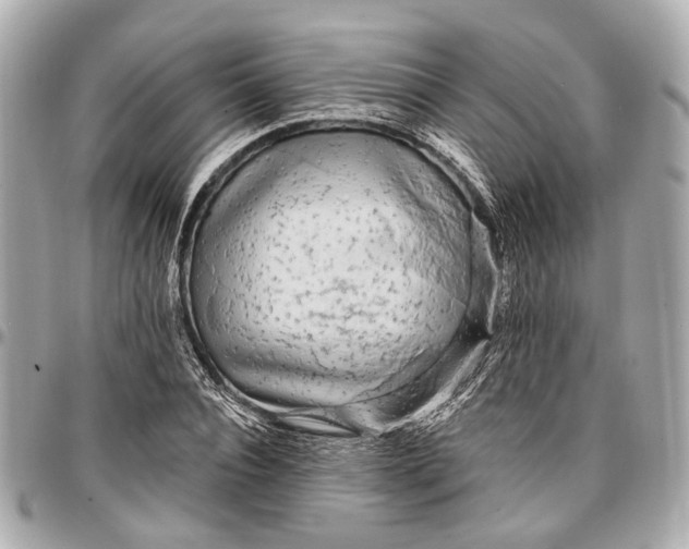 X0000096990928200802221454