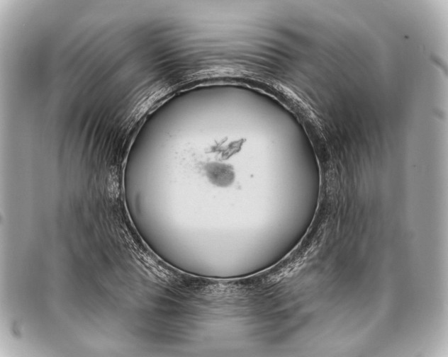 X0000096990929200802221454