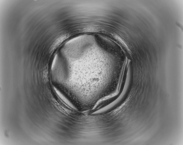 X0000096990930200802221454