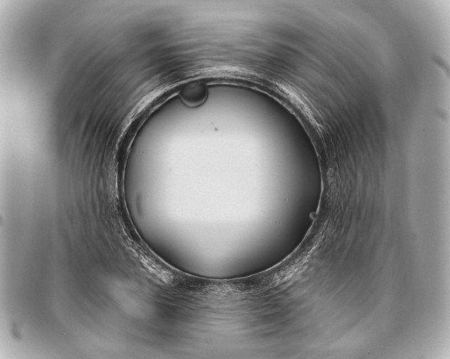 X0000096990931200802221454