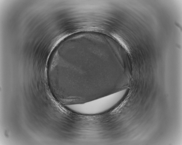 X0000096990932200802221454