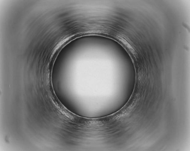 X0000096990933200802221454