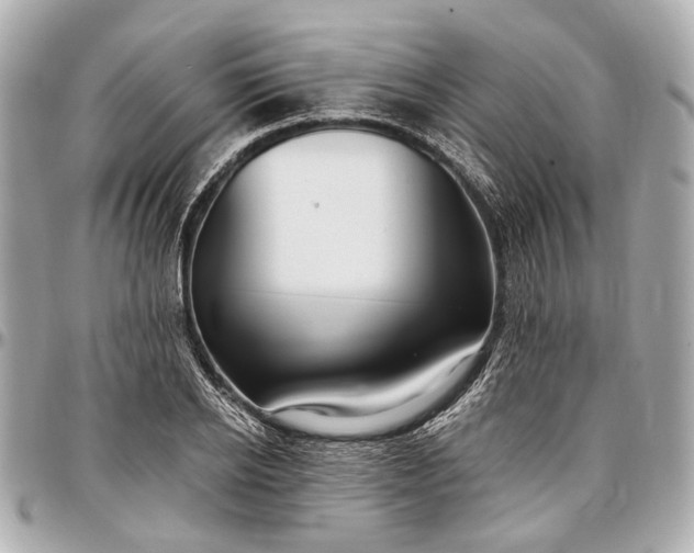 X0000096990934200802221454