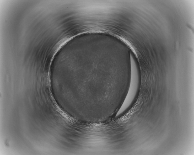 X0000096990935200802221454