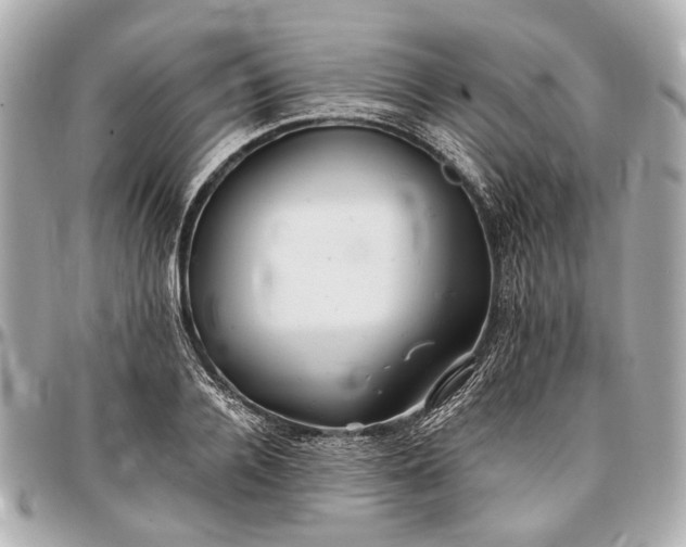 X0000096990936200802221454