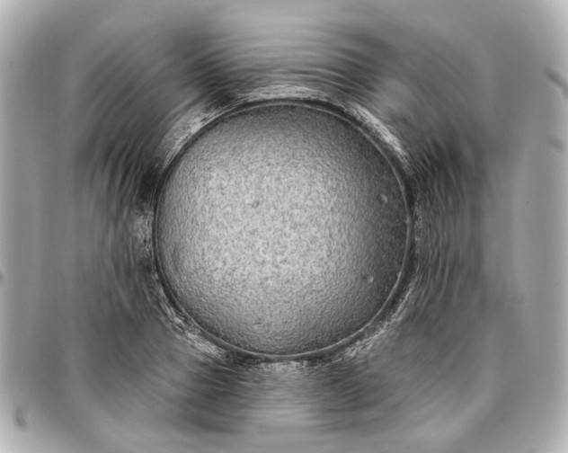 X0000096990937200802221454