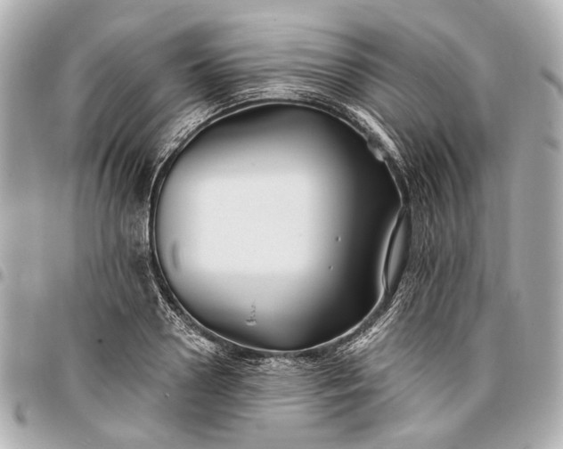 X0000096990938200802221454