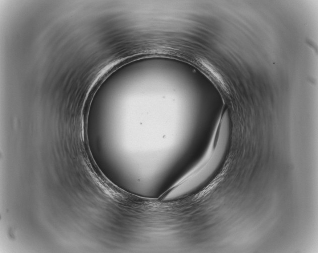 X0000096990940200802221454