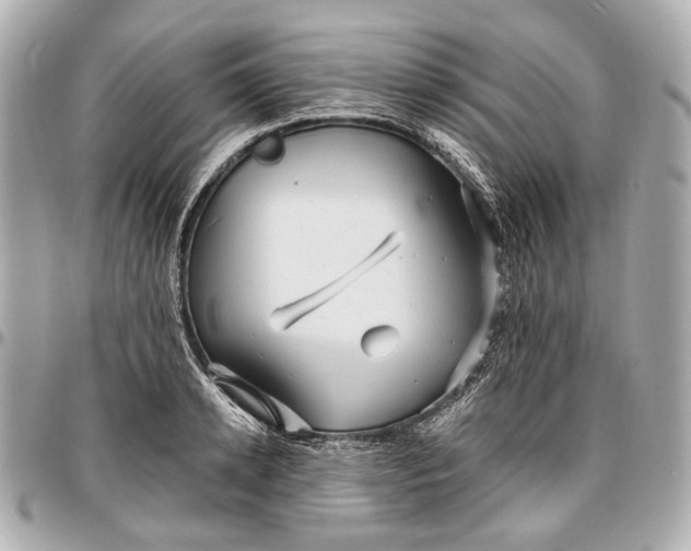 X0000096990942200802221454