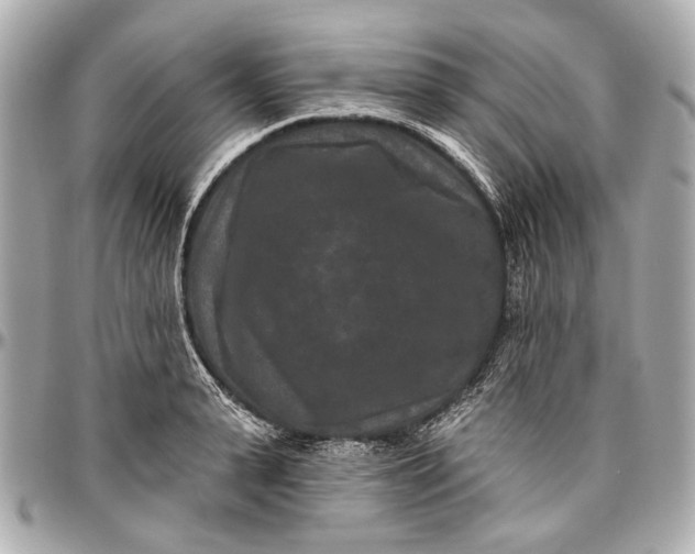 X0000096990943200802221454