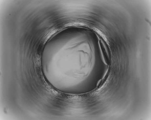 X0000096990945200802221454